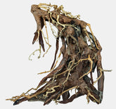 Bonsai Root L